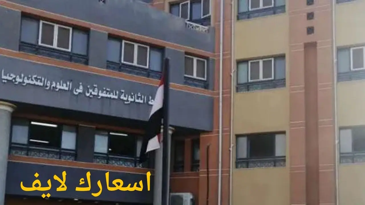مصاريف مدرسة المتفوقين بعين شمس