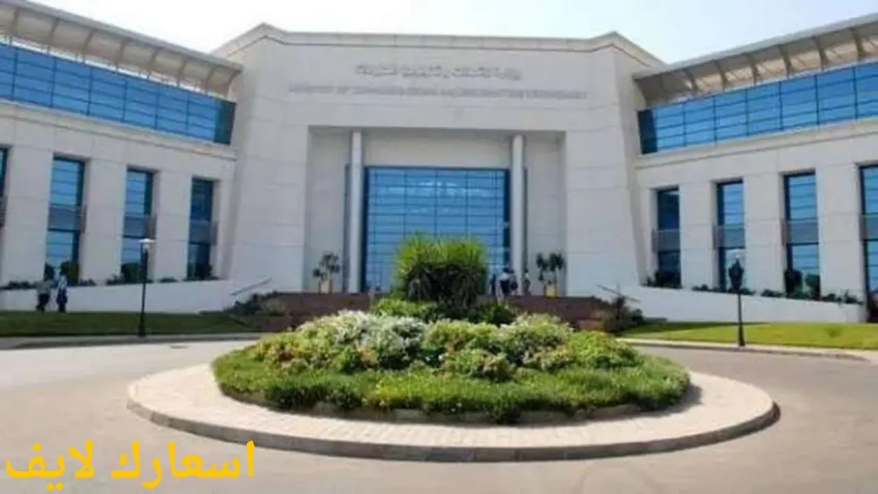 مصاريف جامعة مصر المعلوماتية