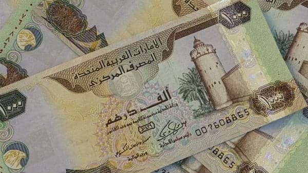 سعر الدرهم الإماراتي مقابل الجنيه المصري اليوم2025