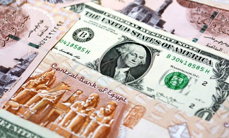 سعر الدولار مقابل الجنيه المصري اليوم2025