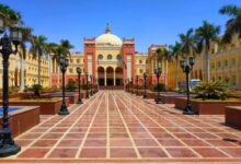 مصاريف الجامعة البريطانية 2025-2026