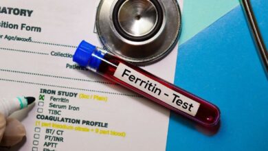 سعر تحليل Serum Ferritin في معمل البرج و ألفا 2025