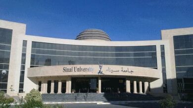 مصاريف جامعة سيناء وشروط القبول 2025