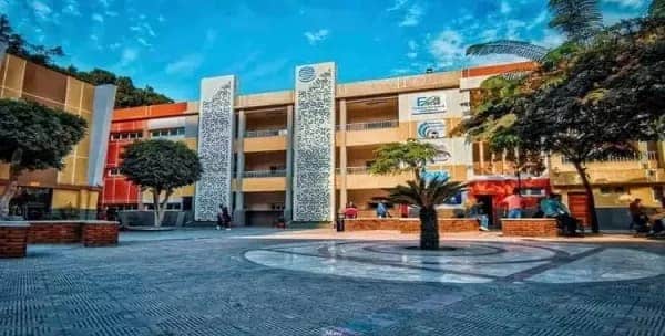 مصاريف كليه BIS بالزمالك وتنسيق القبول 2025