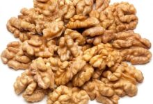 سعر عين الجمل في مصر والسعوديه 2025