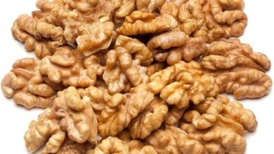 سعر عين الجمل في مصر والسعوديه 2025