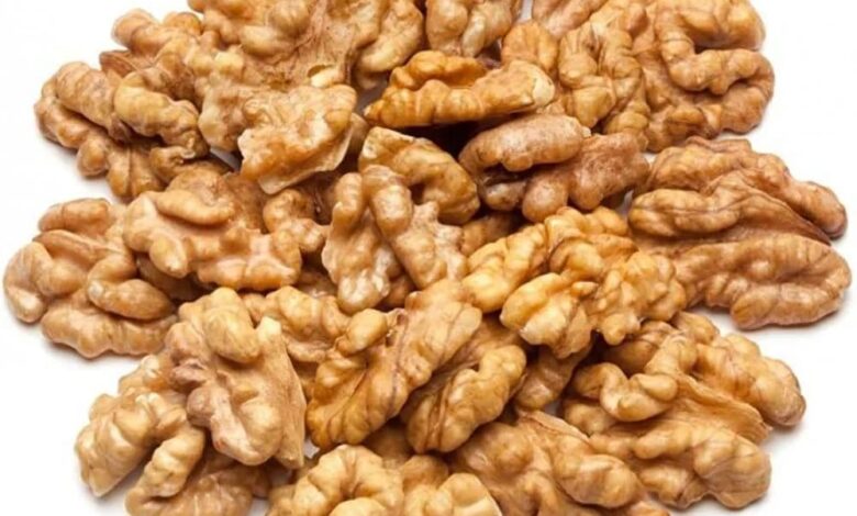 سعر عين الجمل في مصر والسعوديه 2025