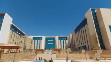 مصاريف جامعة المنصورة الجديدة