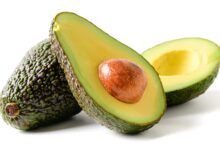 سعر الافوكادو اليوم في مصر 2026