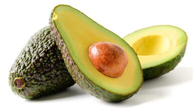 سعر الافوكادو اليوم في مصر 2026