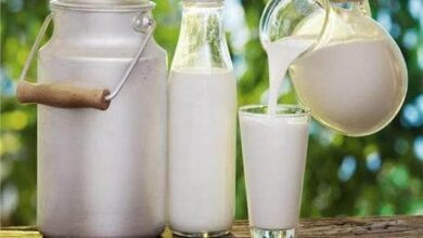 سعر كيلو اللبن في مصر اليوم 2026