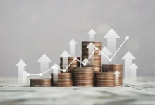 دليل الاستثمار